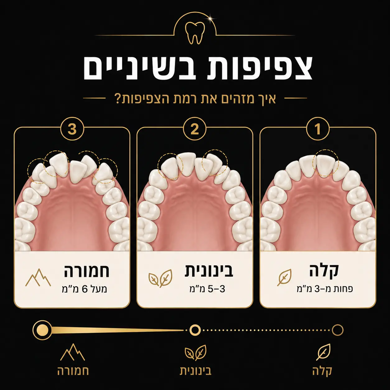 יישור שיניים | אינפוגרפיקה