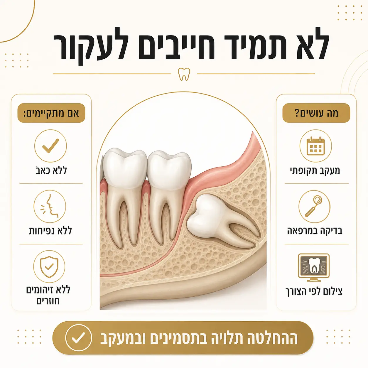 שן בינה כלואה | אינפוגרפיקה