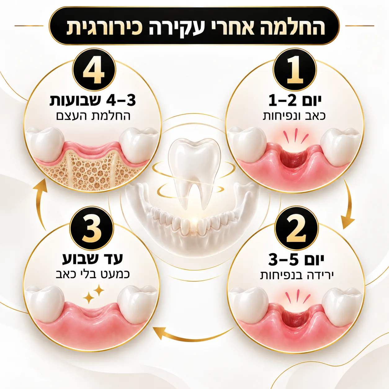 עקירה כירורגית | אינפוגרפיקה